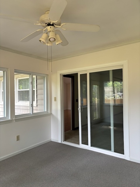 Gallery Photo 25